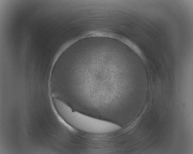 X0000082991247200702081826