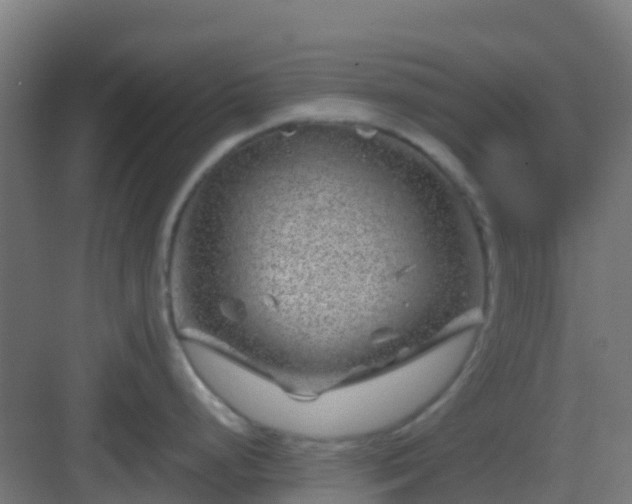 X0000082991248200702081826