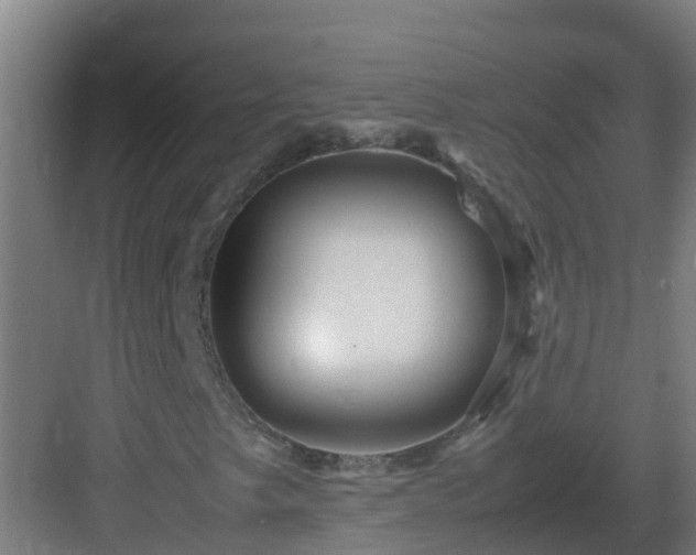 X0000082991249200702081825