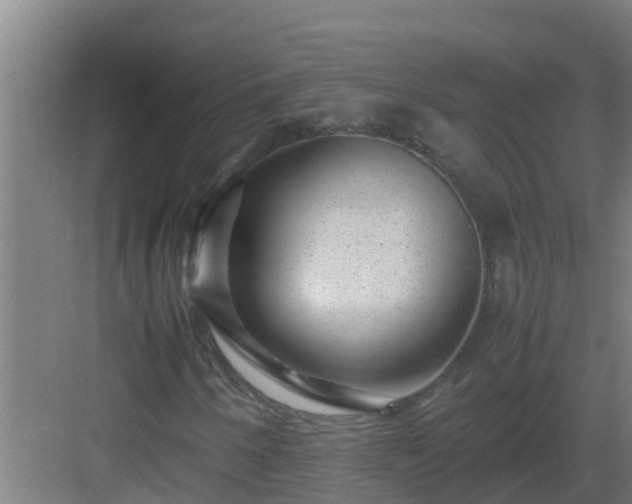 X0000082991250200702081825