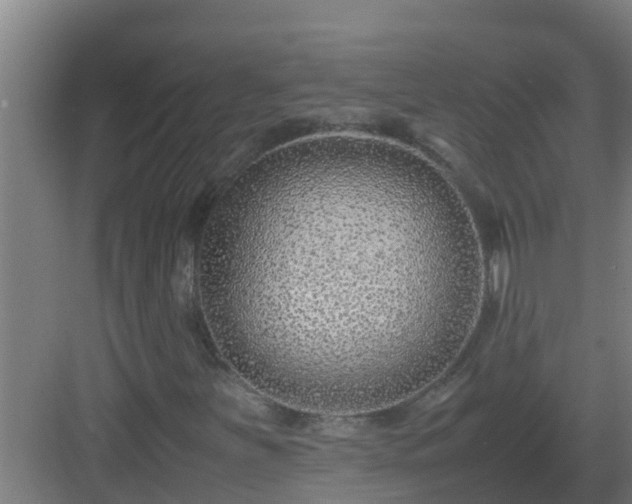 X0000082991251200702081825