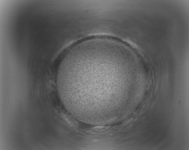 X0000082991255200702081825