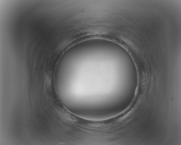 X0000082991257200702081825