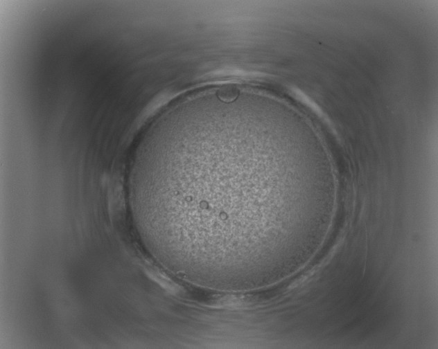 X0000082991259200702081825