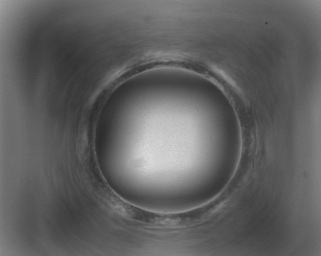 X0000082991261200702081825