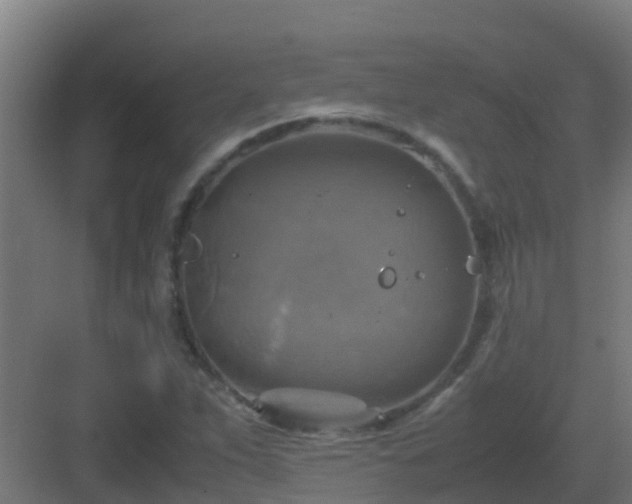 X0000082991263200702081825