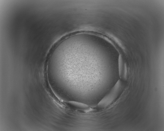 X0000082991264200702081825