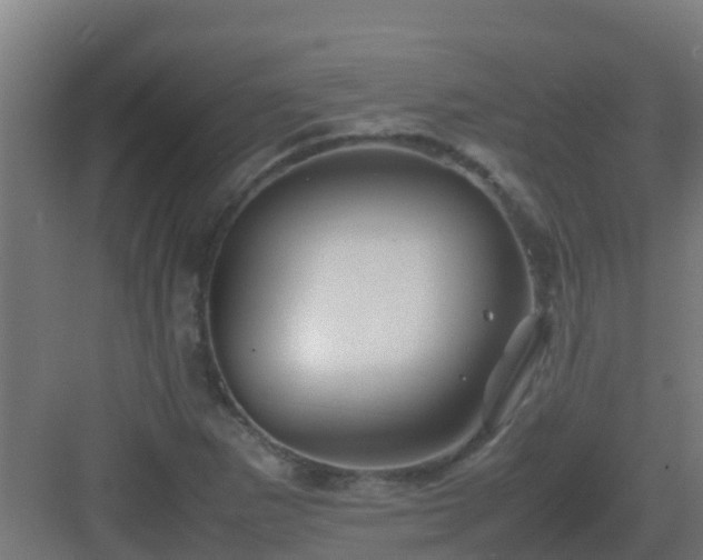 X0000082991265200702081825