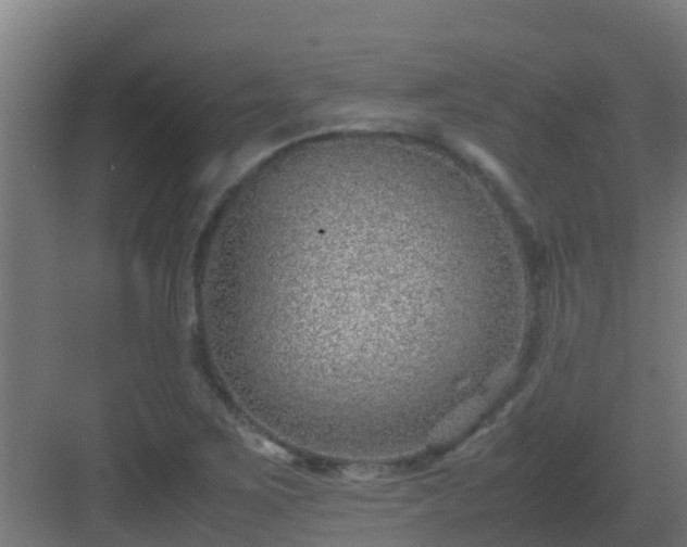 X0000082991267200702081825