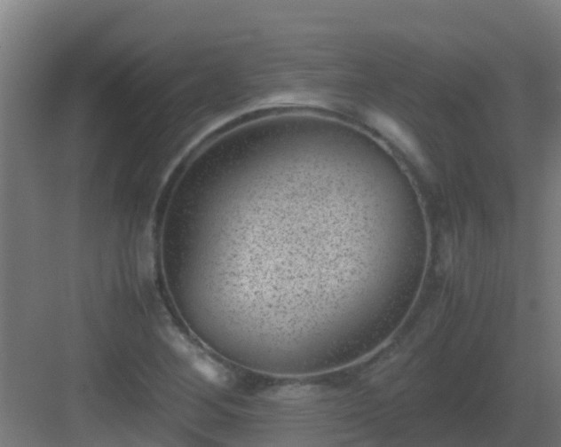 X0000082991268200702081825