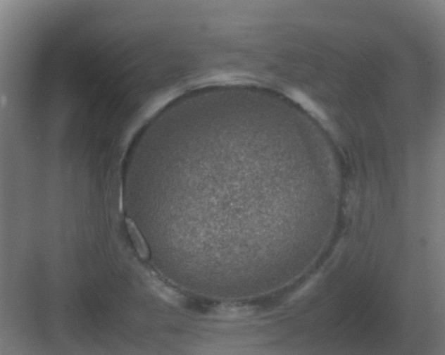 X0000082991269200702081825