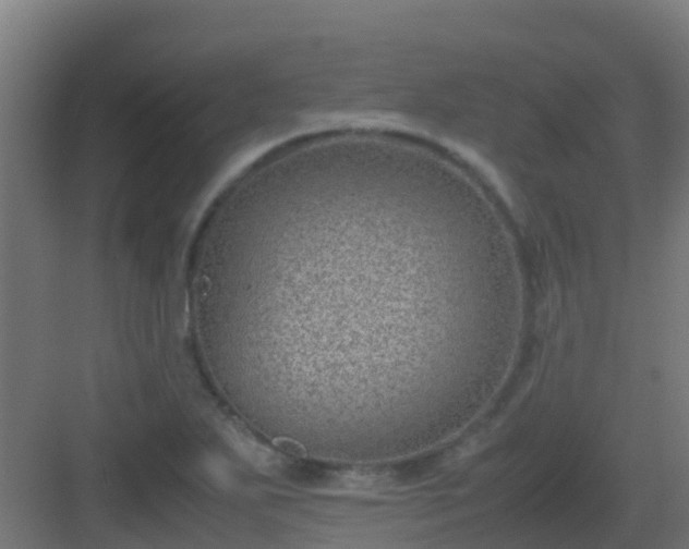 X0000082991271200702081825