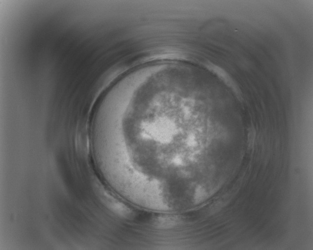 X0000082991274200702081825