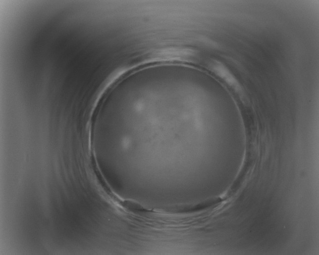 X0000082991275200702081825