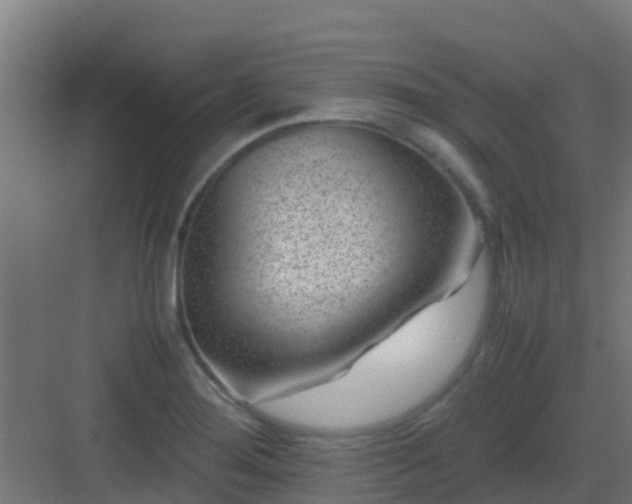 X0000082991276200702081825