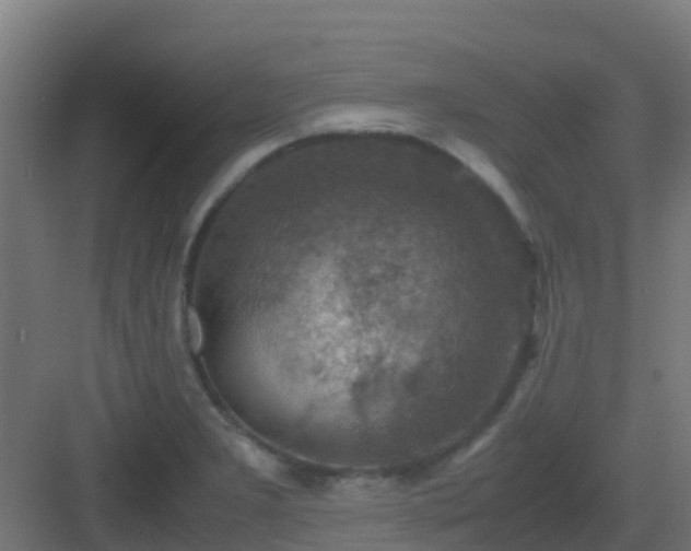 X0000082991277200702081825