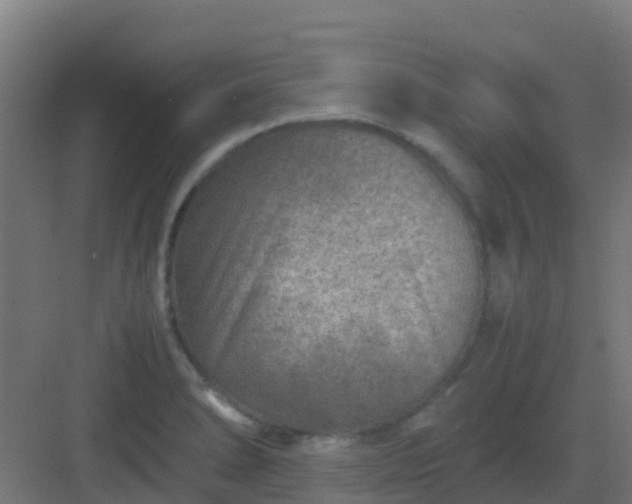 X0000082991278200702081825