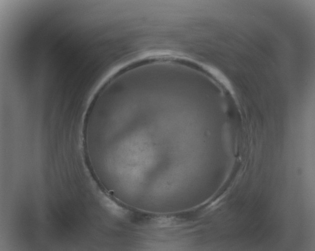 X0000082991279200702081825