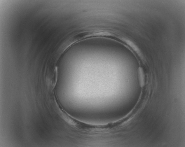 X0000082991281200702081825