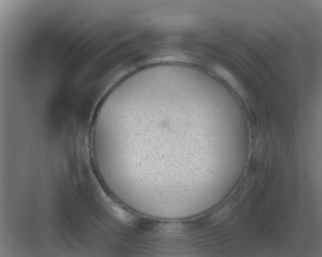 X0000082991282200702081825