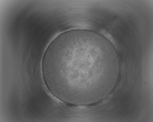 X0000082991283200702081825