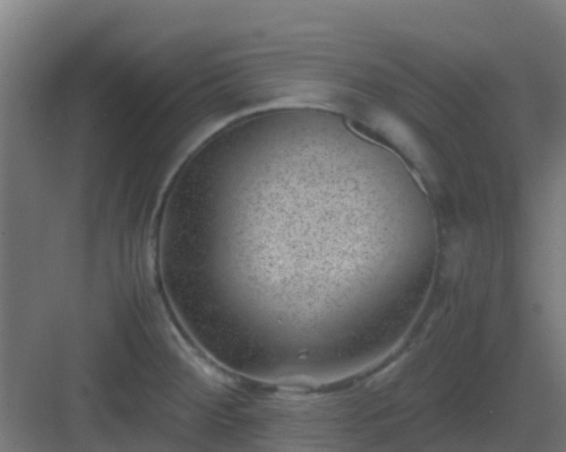 X0000082991284200702081825