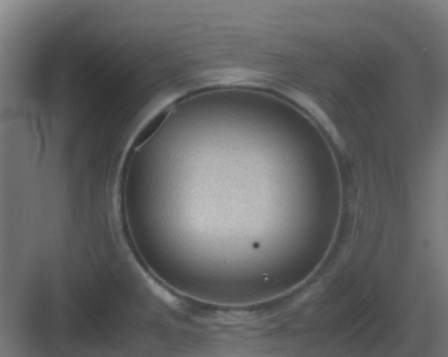 X0000082991285200702081824