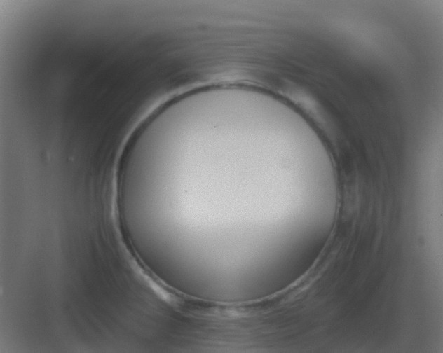 X0000082991286200702081824