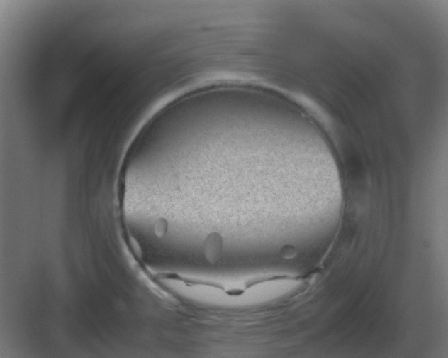 X0000082991287200702081824