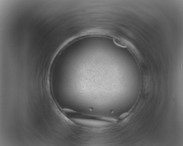 X0000082991288200702081824