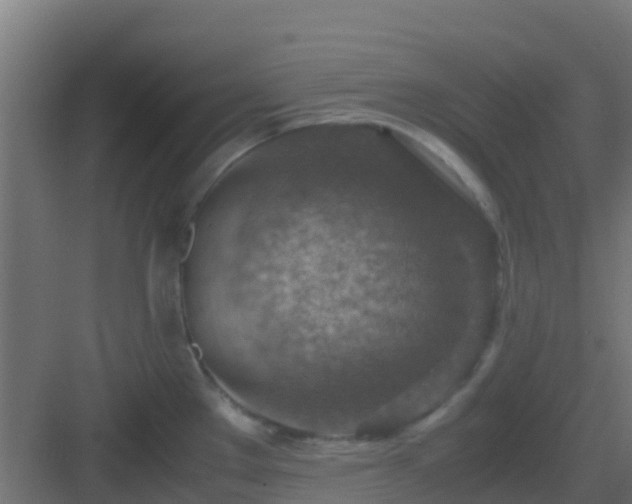 X0000082991289200702081824