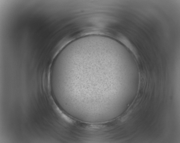 X0000082991290200702081824