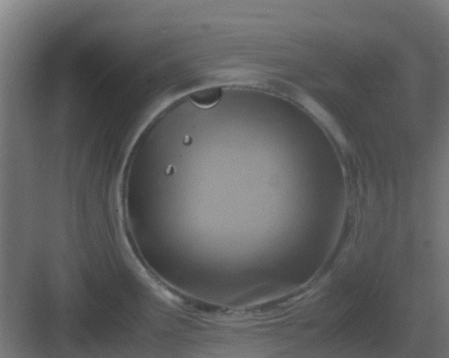 X0000082991291200702081824