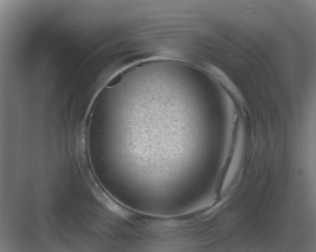 X0000082991292200702081824