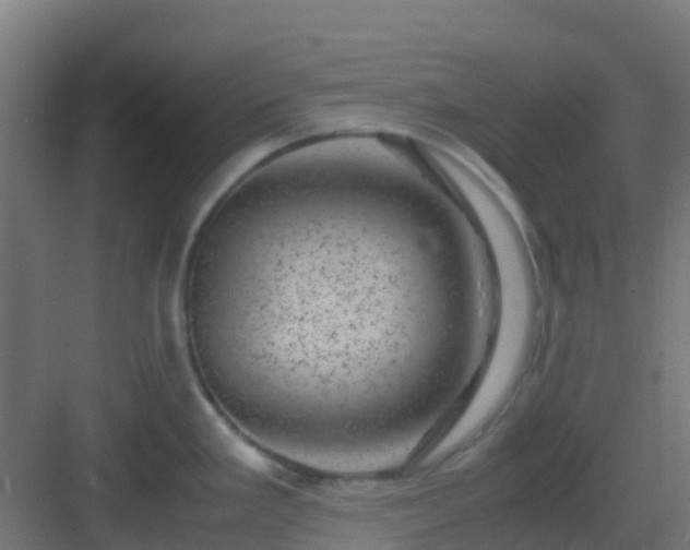 X0000082991293200702081824