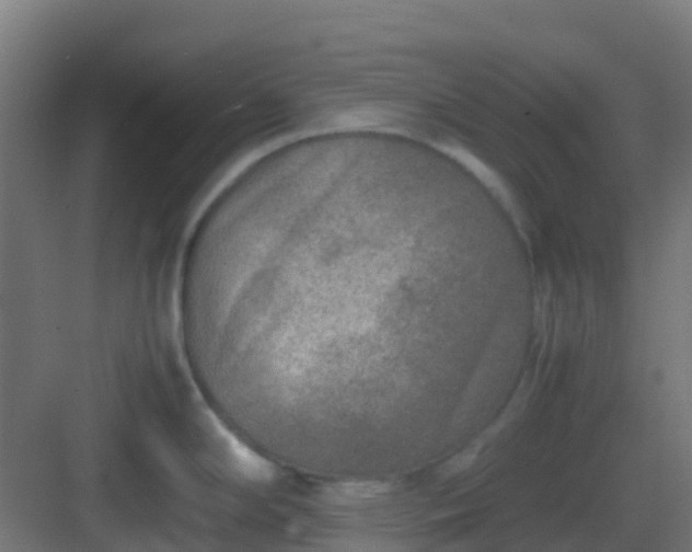 X0000082991294200702081824