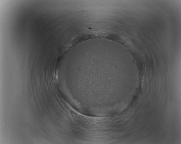 X0000082991298200702081824