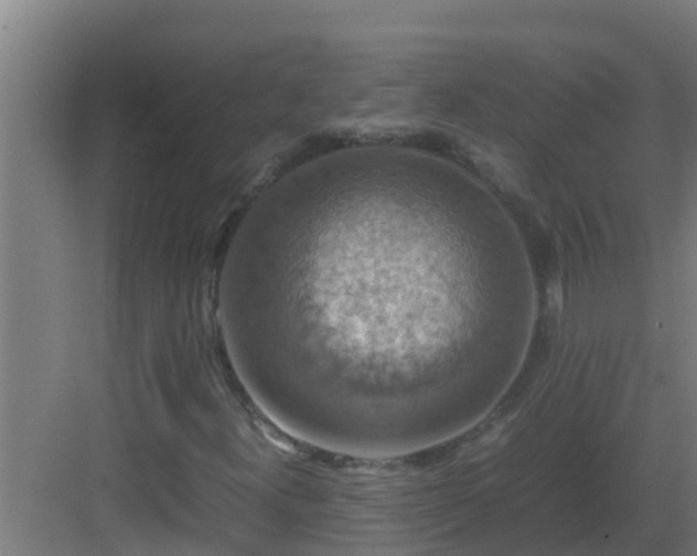 X0000082991300200702081824