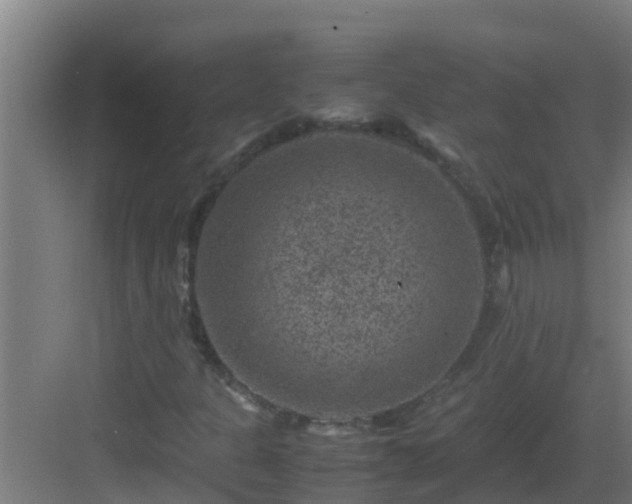 X0000082991301200702081824