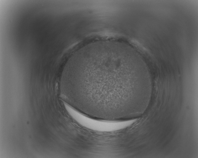 X0000082991302200702081824