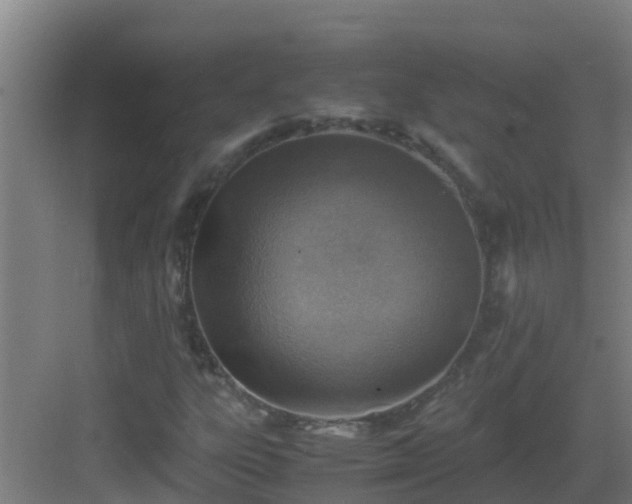 X0000082991303200702081824