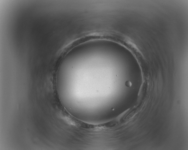 X0000082991304200702081824