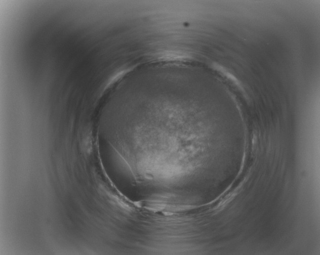 X0000082991306200702081824