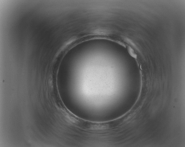 X0000082991307200702081824