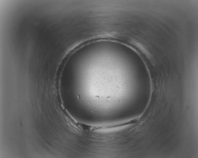 X0000082991308200702081824