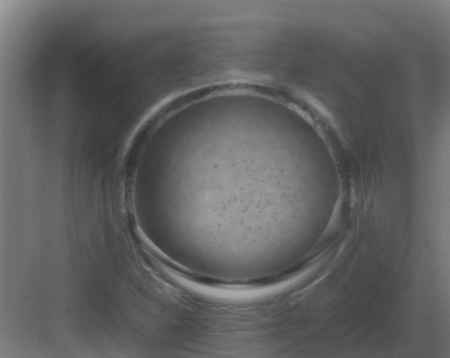 X0000082991310200702081824