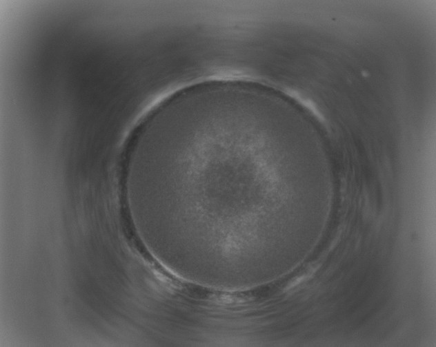 X0000082991311200702081824