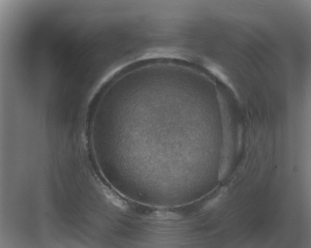 X0000082991312200702081824