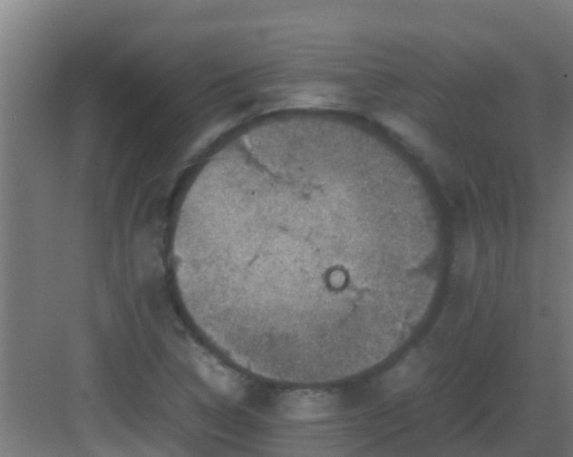 X0000082991314200702081824