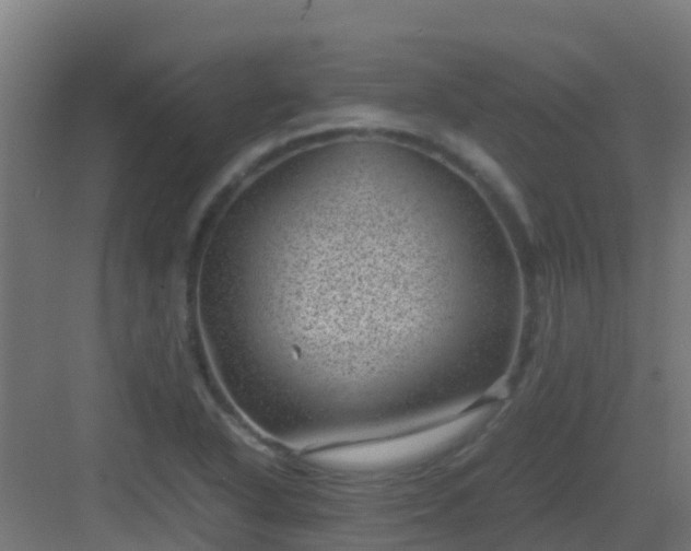 X0000082991318200702081824